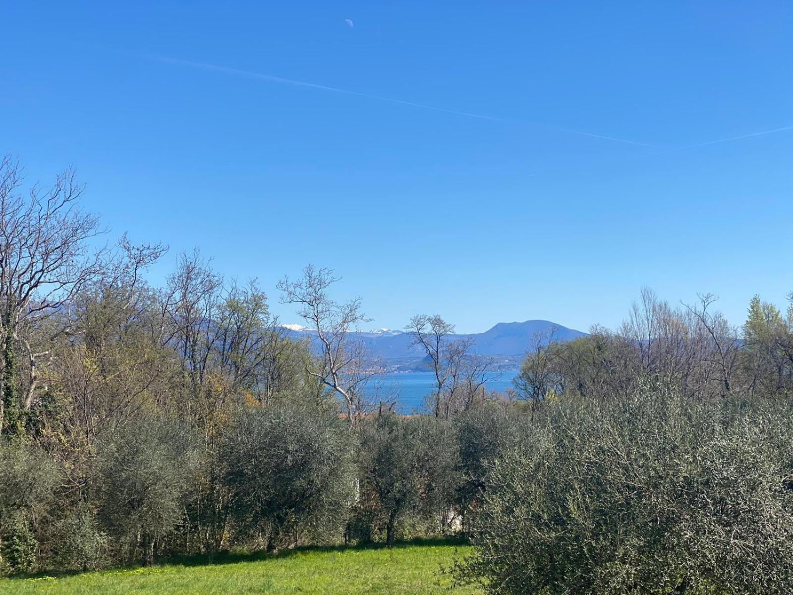 The Flowers - Apartments With Private Garden In Residence With Pool Manerba del Garda Eksteriør bilde
